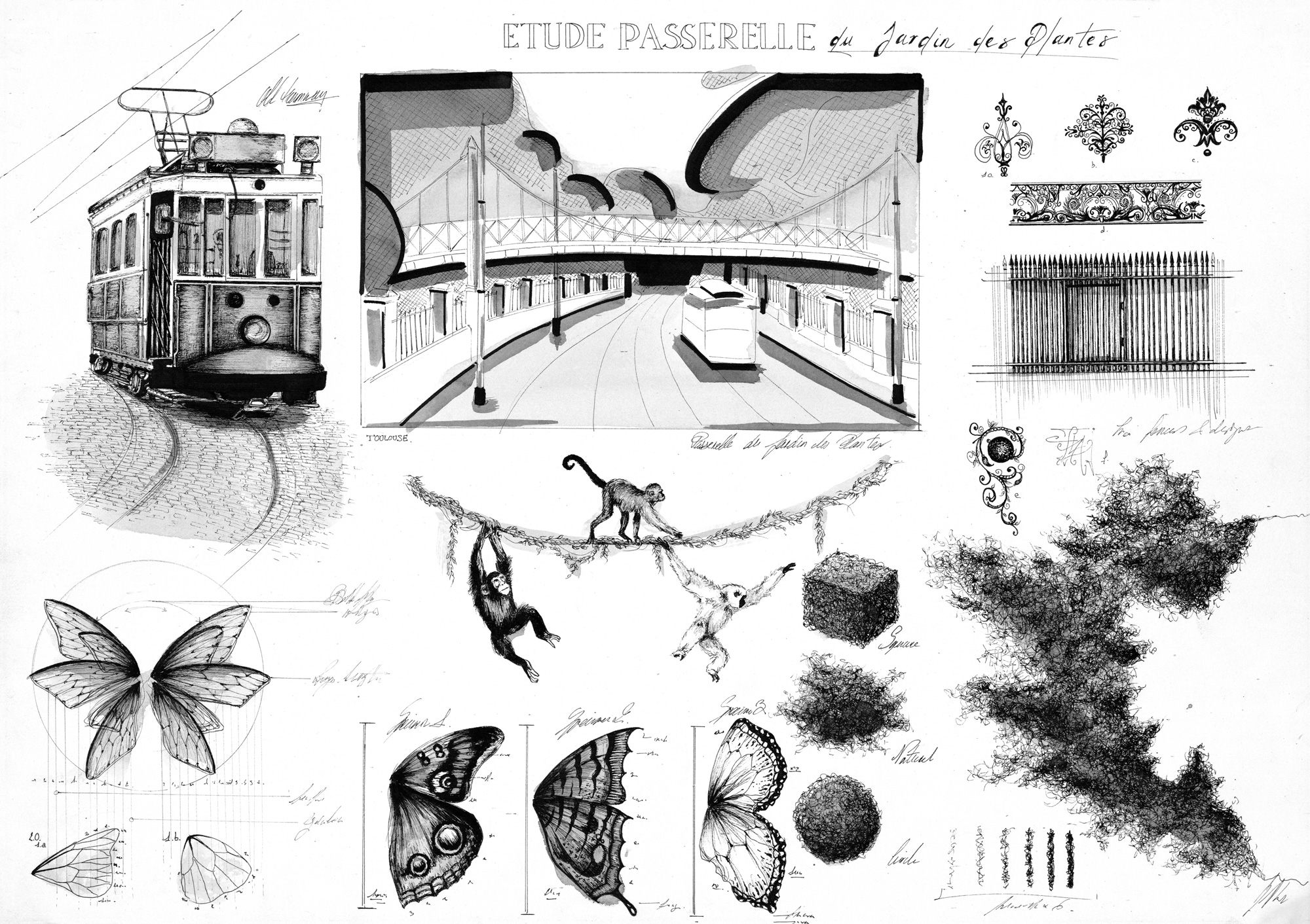 Etude : Jardin des Plantes - Encre et aquarelle sur papier - 36.5x51 cm - 1400e